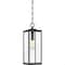 Quoizel Westover 1-Light Earth Black Outdoor Hanging Lantern WVR1907EK - alternate 1